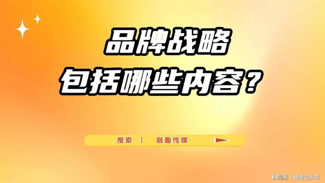 战略包括哪些内容？EVO视讯平台品牌(图3)